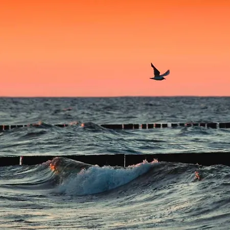 公寓 Haus Clara 02 科瑟罗