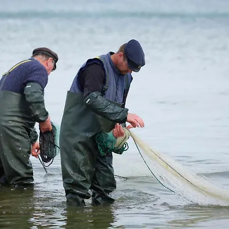 Haus Clara 02 公寓 *